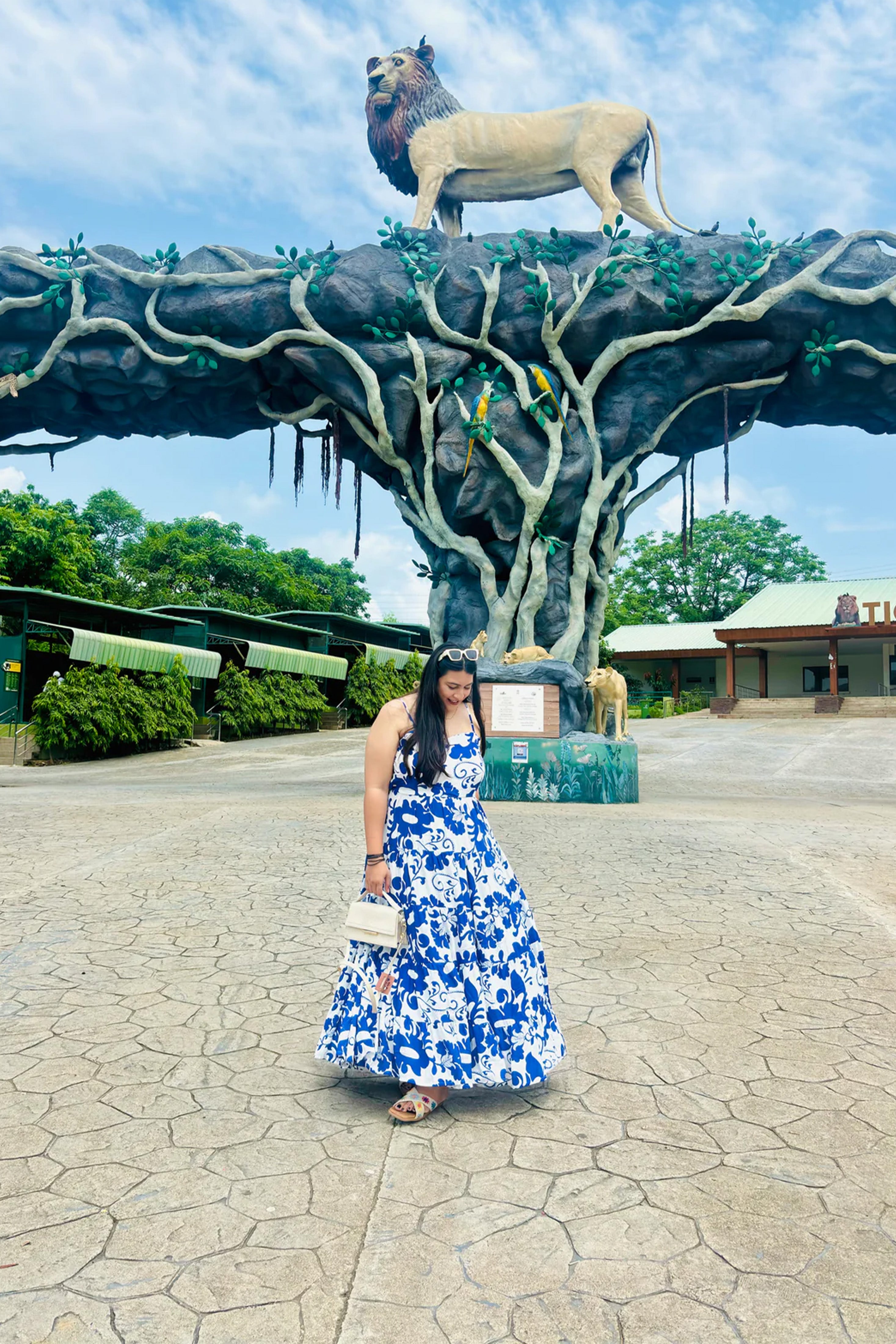 Skyfall Elegance Maxi Dress